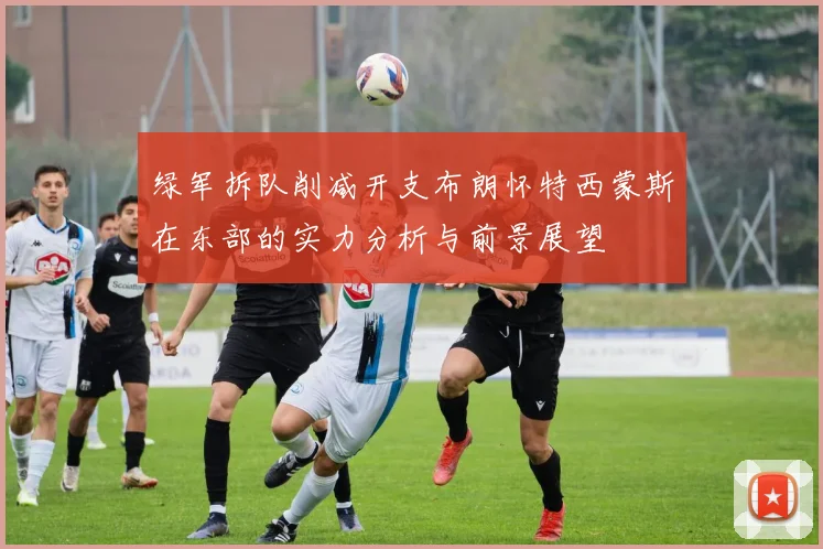 绿军拆队削减开支布朗怀特西蒙斯在东部的实力分析与前景展望