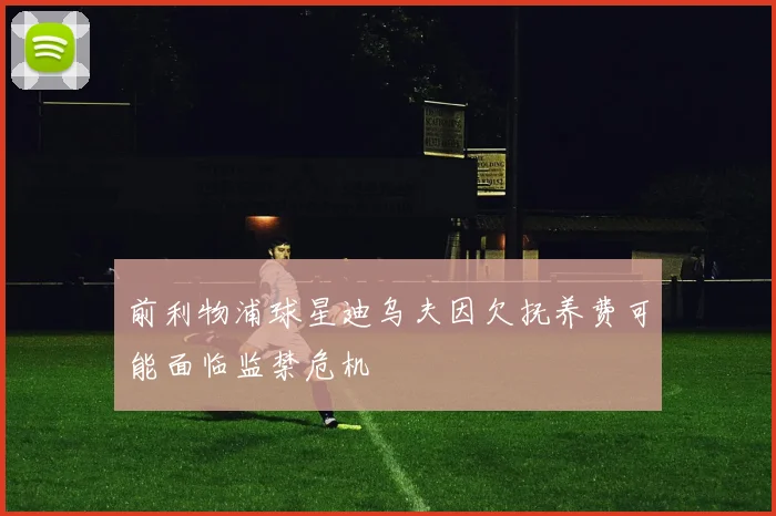 前利物浦球星迪乌夫因欠抚养费可能面临监禁危机