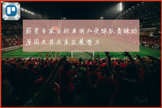 薪资专家分析库明加受球队青睐的原因及其未来发展潜力