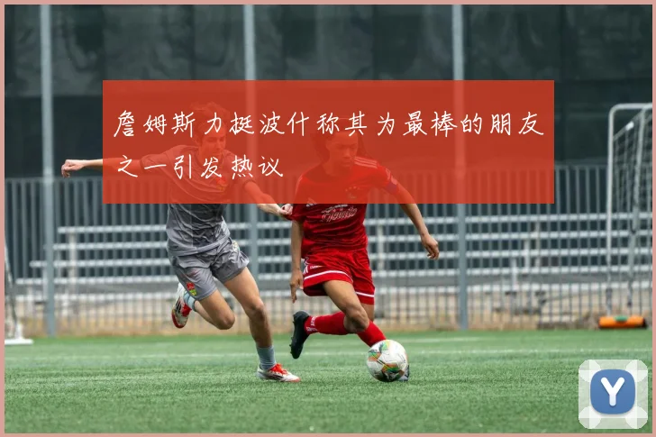 詹姆斯力挺波什称其为最棒的朋友之一引发热议