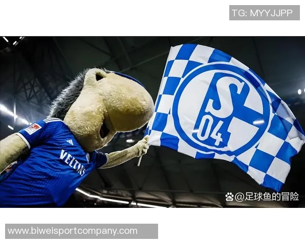 沙尔克04在德乙中表现出色卡里乌斯守门稳健15场比赛零封8次 沙尔克04在德乙中表现出色卡里乌斯守门稳健15场比赛零封8次